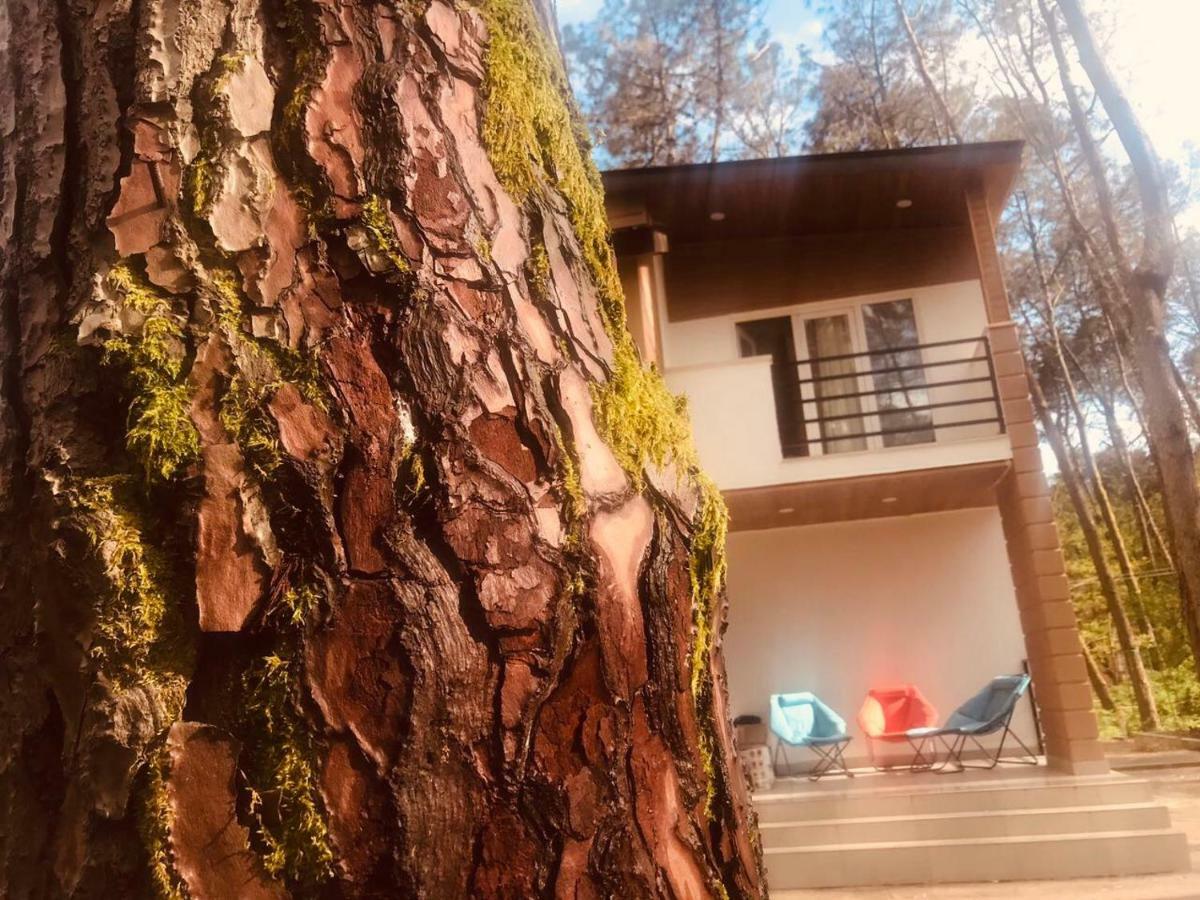 Vip Sweet Home In Shekvetili Exterior photo