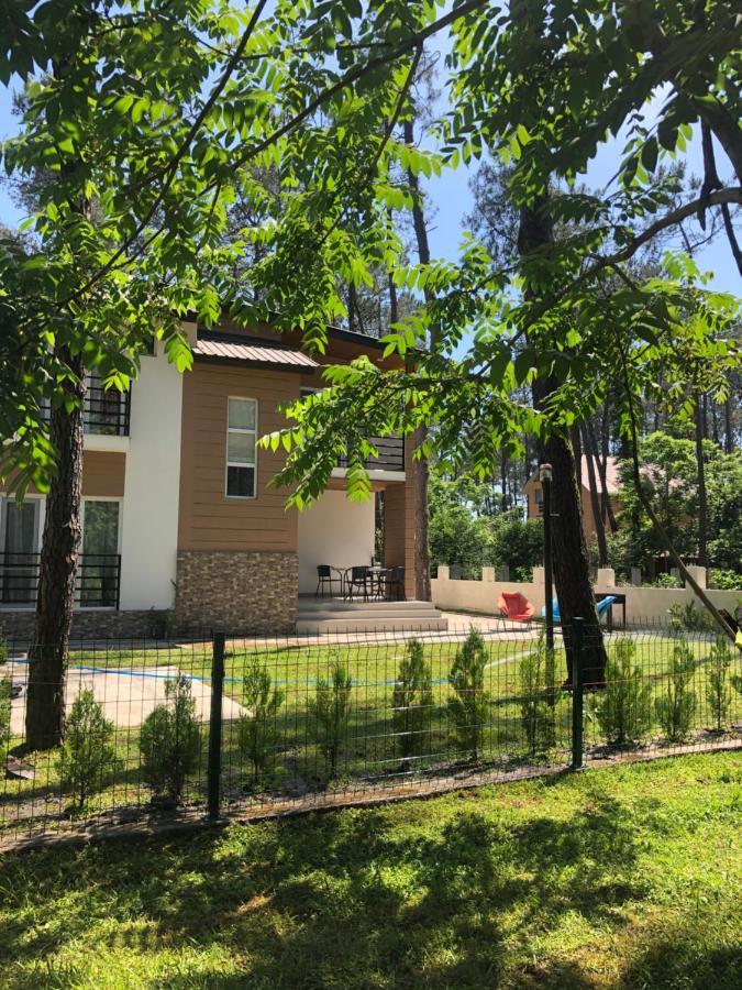 Vip Sweet Home In Shekvetili Exterior photo